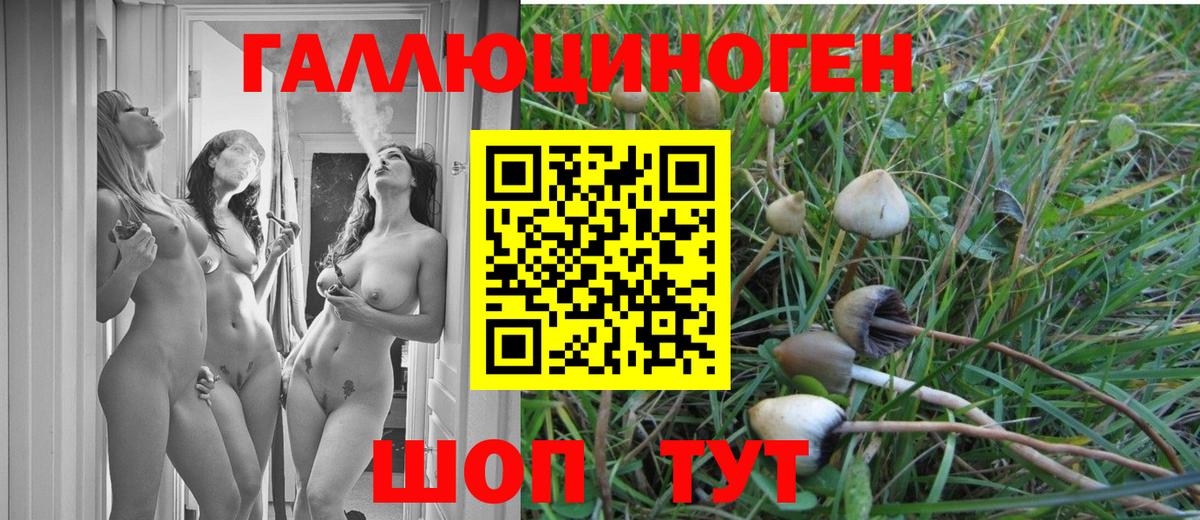 Галлюциногенные грибы ЛСД Ачинск